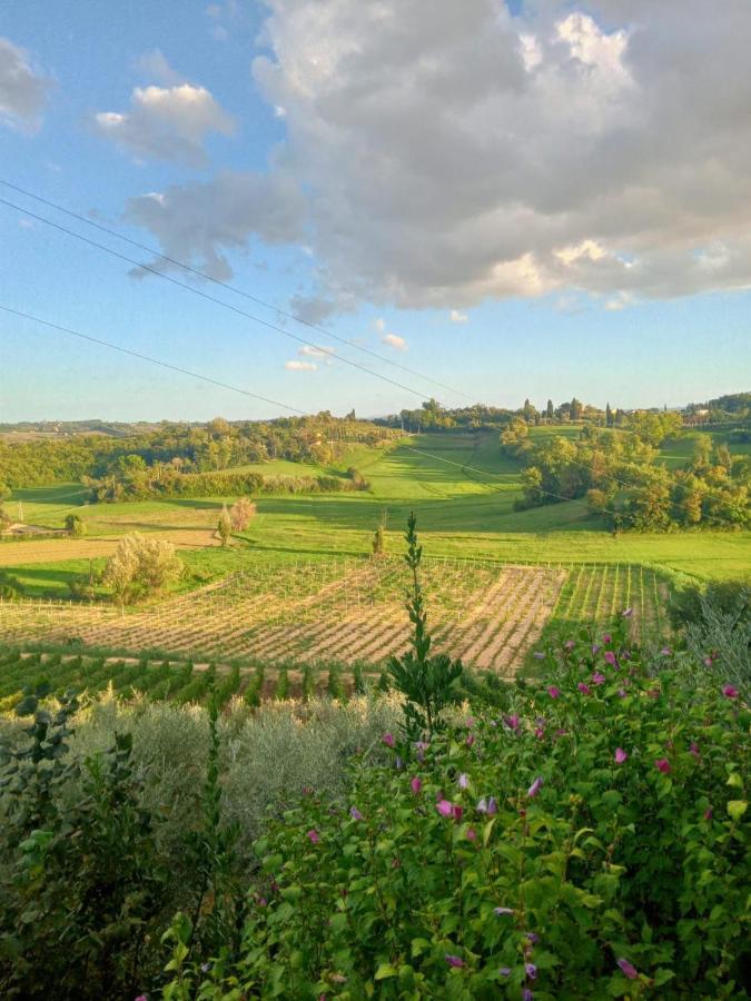 Agriturismo La Pineta Fucecchio Buitenkant foto