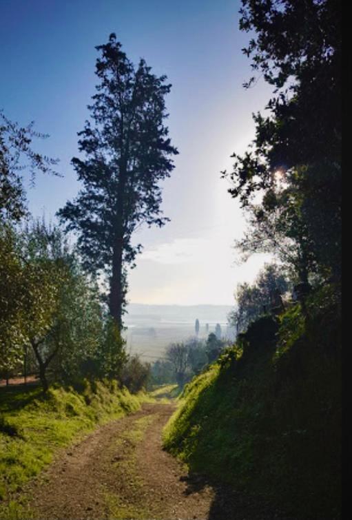 Agriturismo La Pineta Fucecchio Buitenkant foto