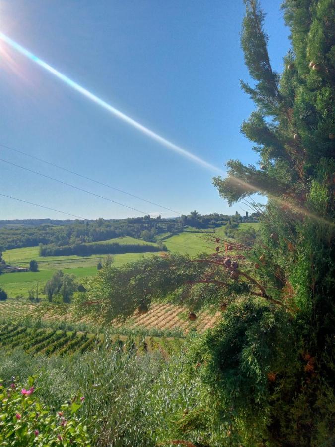 Agriturismo La Pineta Fucecchio Buitenkant foto